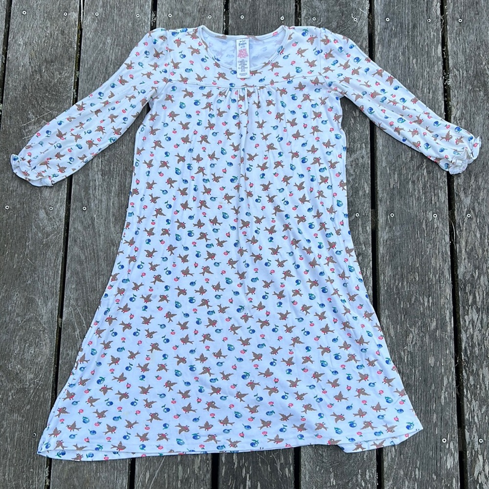 Cute bird and blueberry kids nightgown!